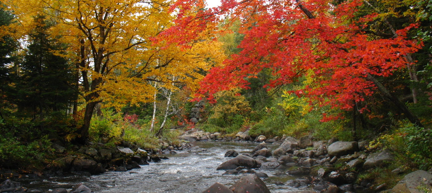 The wild Nulhegan River in autumn colors.