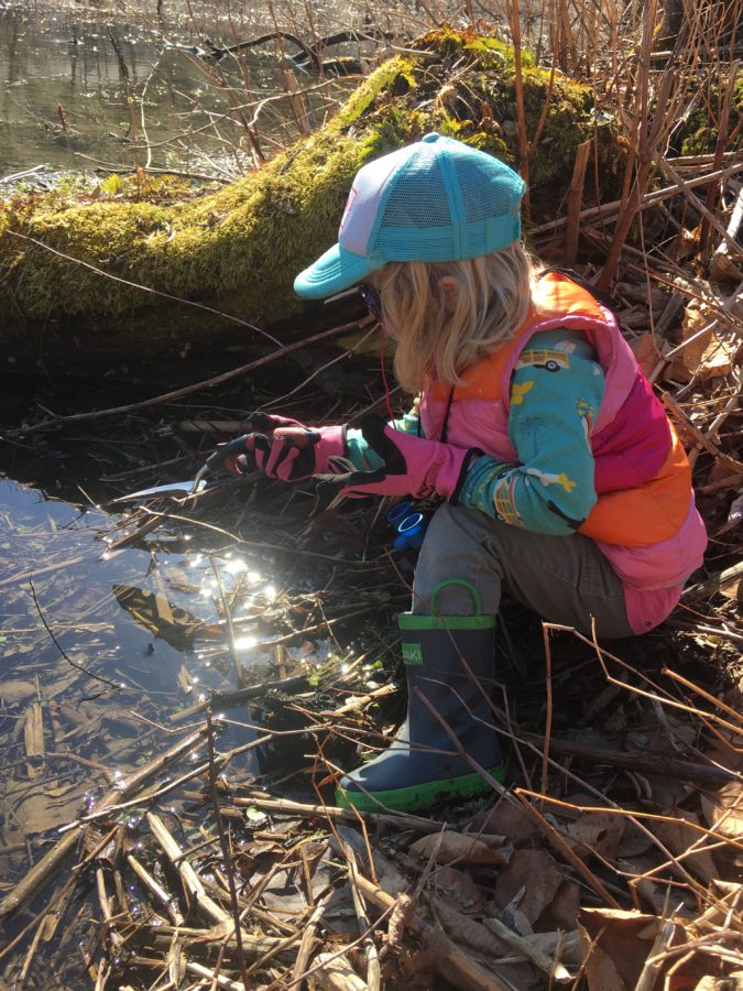 A kid scientist discovers the wonders of the North Branch of the Winooski River.