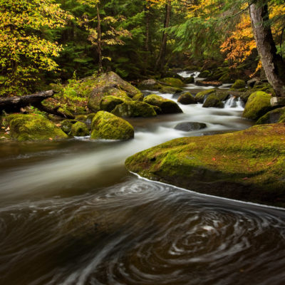 Forest stream (c) Kurt Budliger
