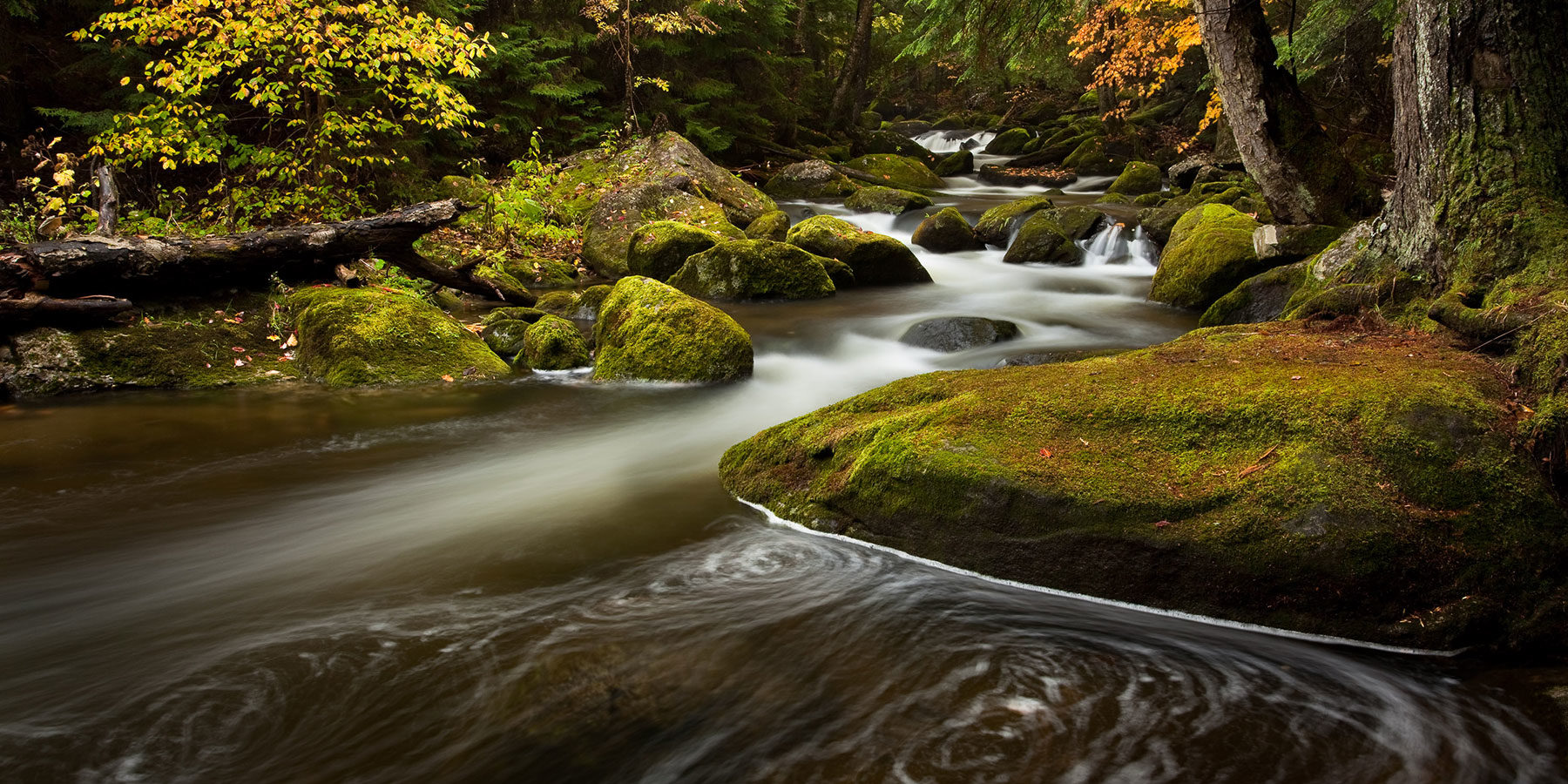Swirls of water in Vermont autumn © Kurt Budliger