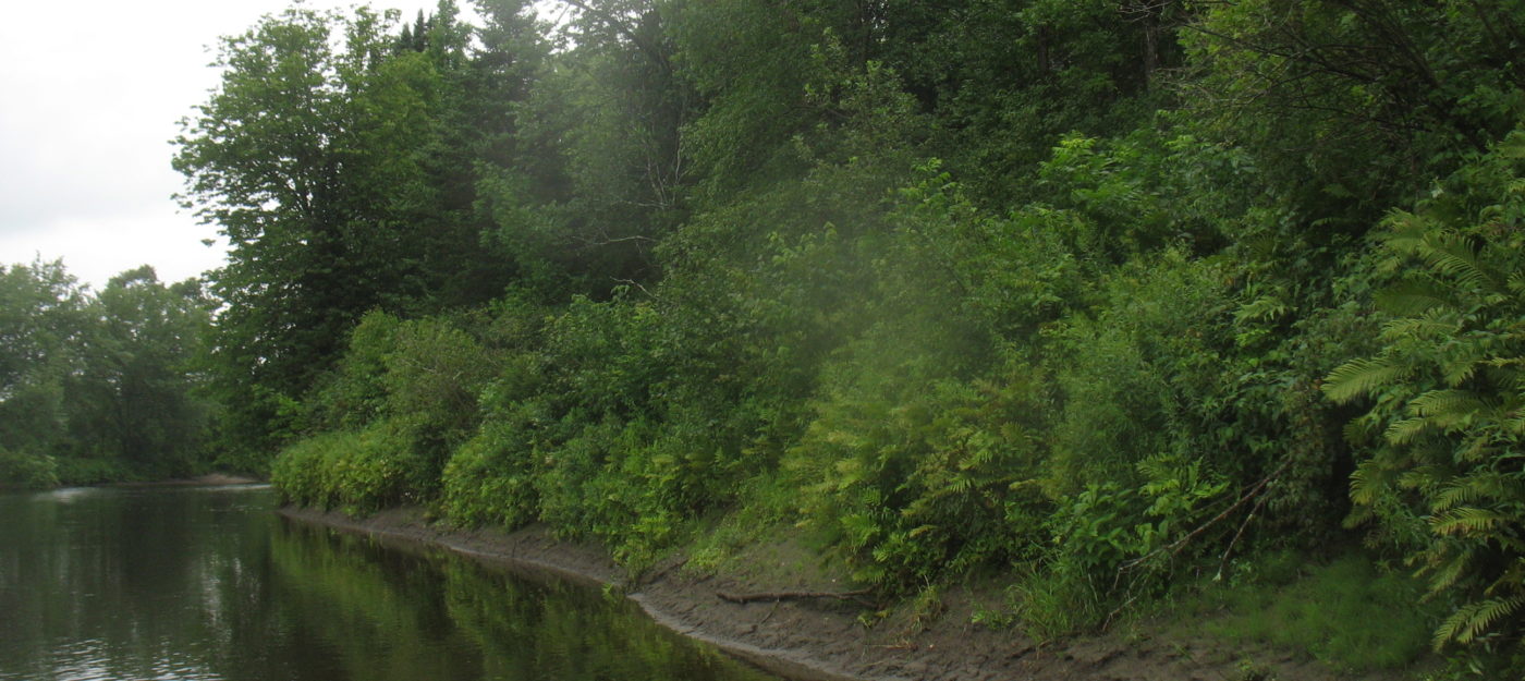 Canoe, kayak, and fishing access site provides access to the Connecticut River in Columbia, New Hampshire.