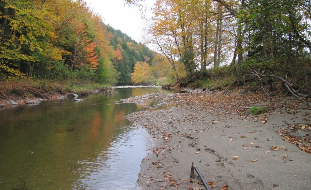 Wild Branch river conservation in Wolcott, Vermont.