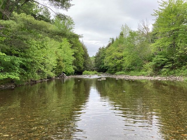 River conservation on the North Branch of the Winooski in Worcester, Vermont.