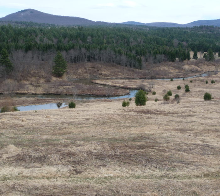 Floodplain wetland and meadow conservation lands in Marshfield, Vermont.