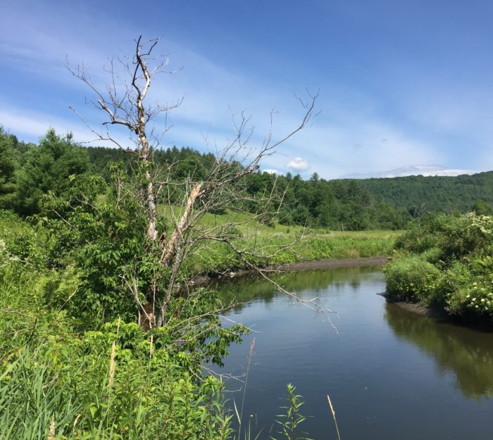 Winooski River conservation in Marshfield, Vermont.