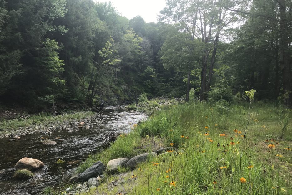 Conservation easement on Green River in Guilford, Vermont.