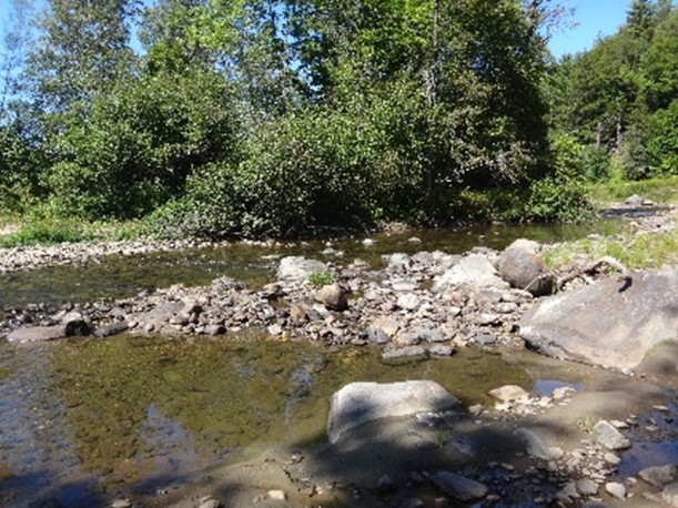 Wild Branch River in Wolcott, Vermont.