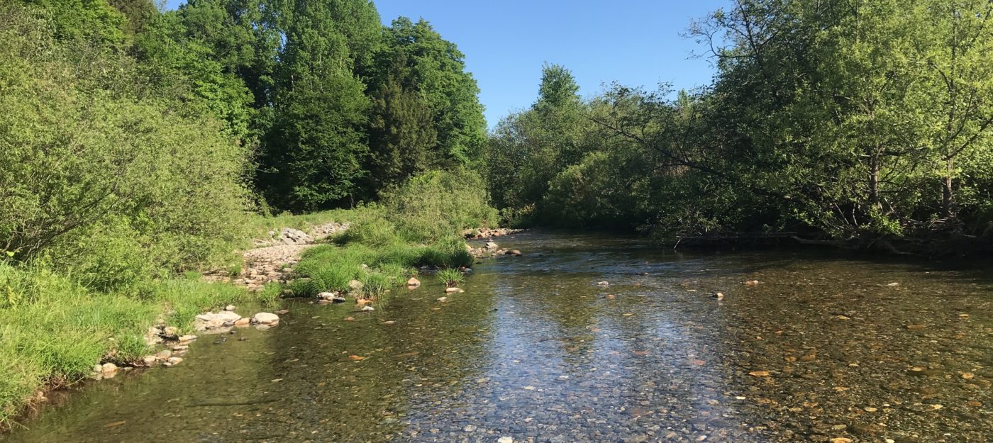 Conservation easement on the South Branch of the Trout River in Montgomery, Vermont.