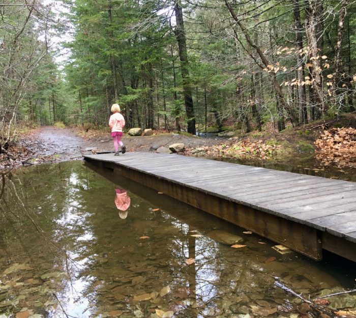 Boardwalk along North Branch Cascades Trail in Worcester and Elmore, Vermont.