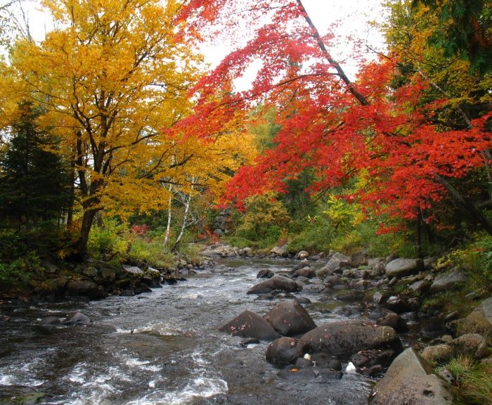 Fall foliage along the Nulhegan River.