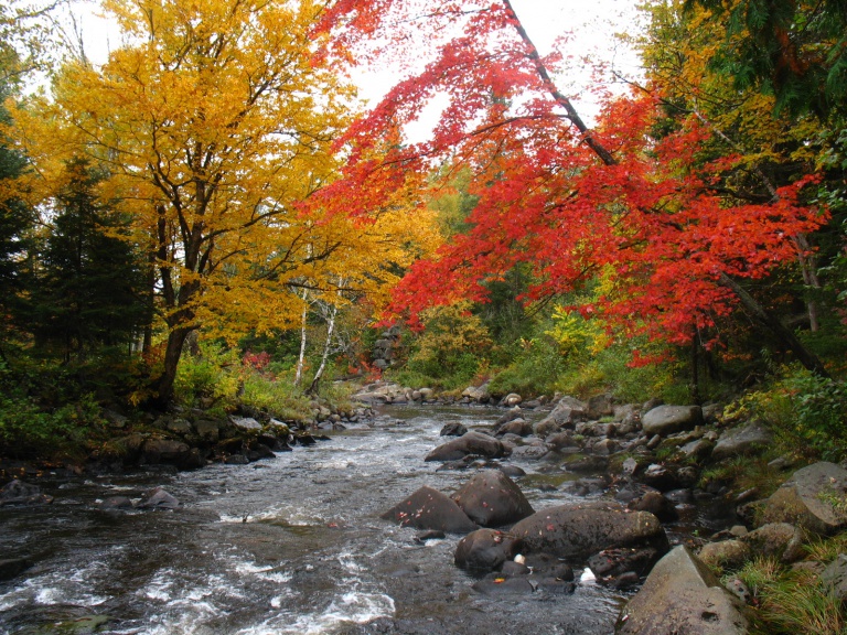 Fall foliage along the Nulhegan River in Bloomfield, Vermont.