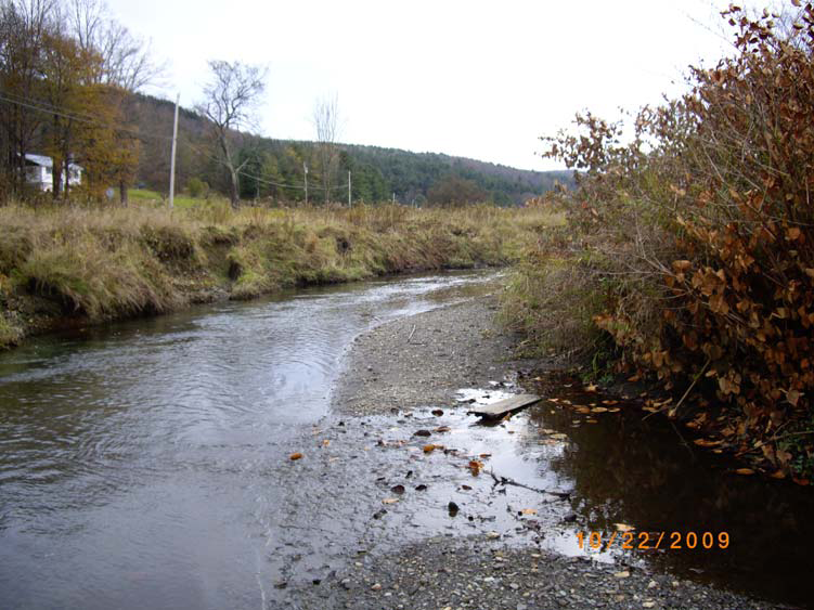 Protected area of Ayers Brook in Randolph, Vermont.
