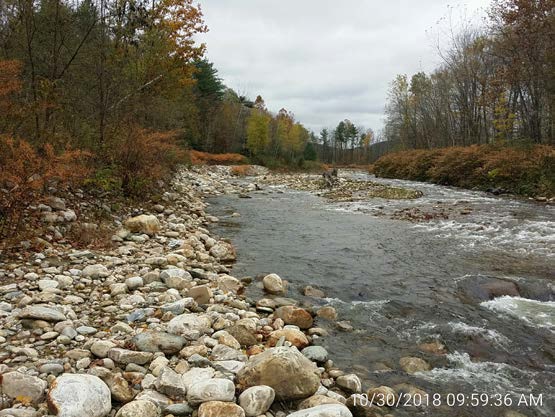 Area of the Cold River protected in Clarendon, Vermont.