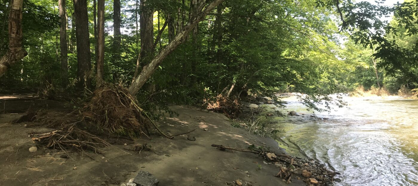 A small area of shaded sandy beach along the Saxtons River.
