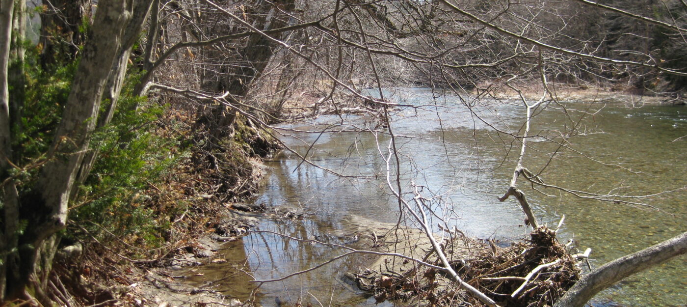 The banks of the White River, protected by the Thrailkill River Corridor Easement.