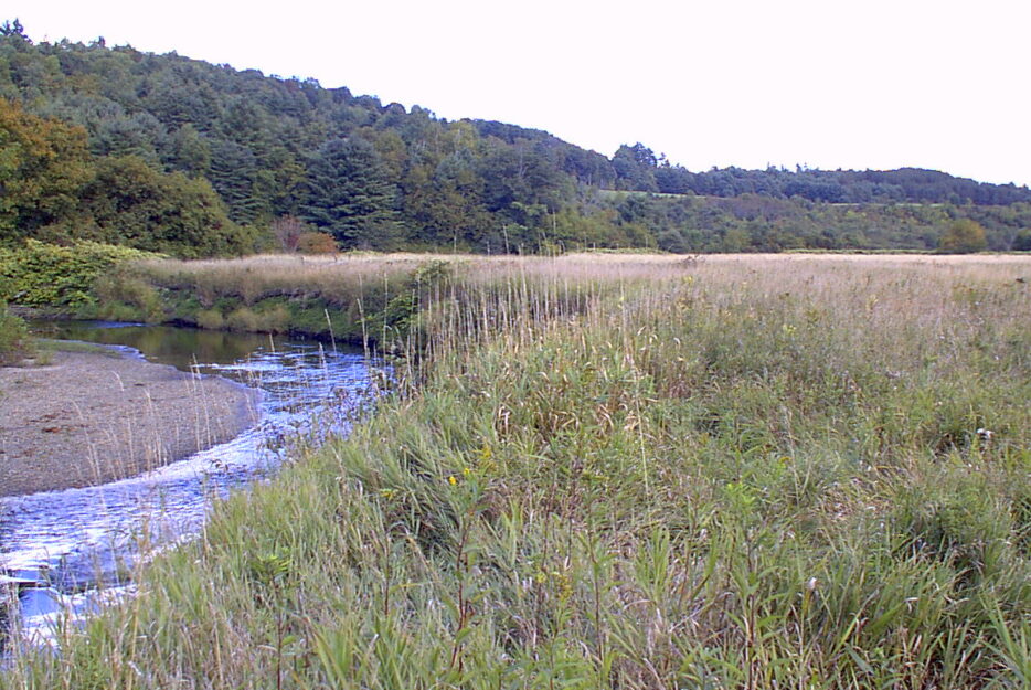 The Wells River winds through natural area and wetland in Newbury, VT.