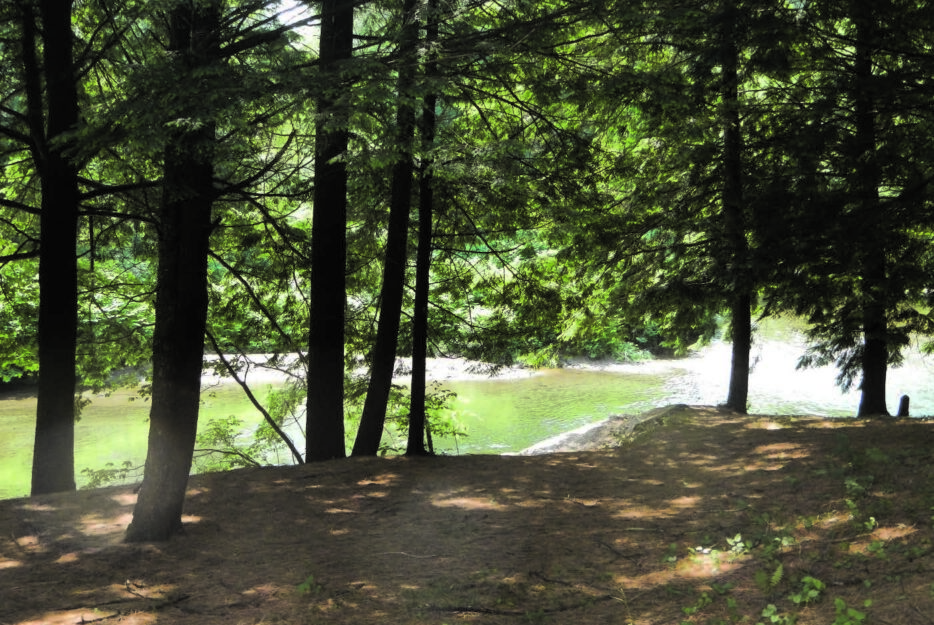 A tree-shaded riverbank along the Dog River, part of the Zuaro River Corridor Easement in Northfield, VT.