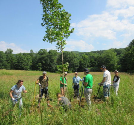 Volunteers planting trees along a Vermont river.
