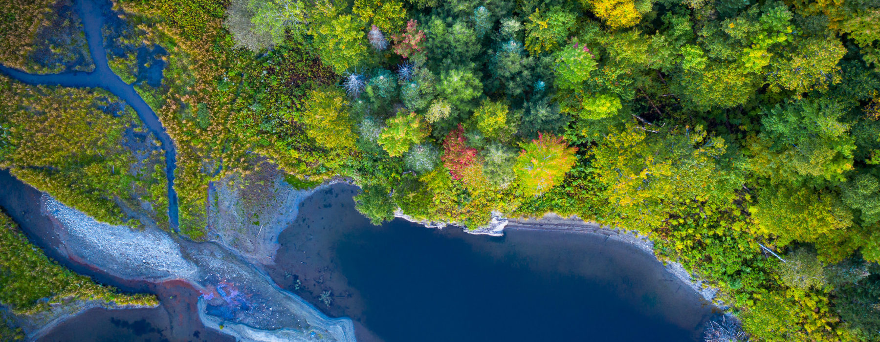 Aerial image of river with fall foliage