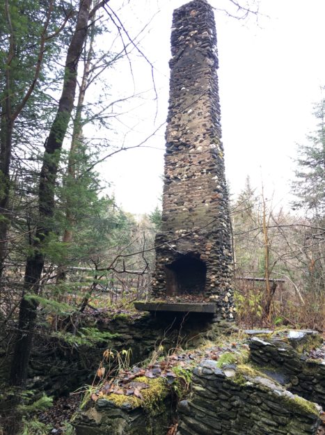 Old fireplace along North Branch Cascades Trail.