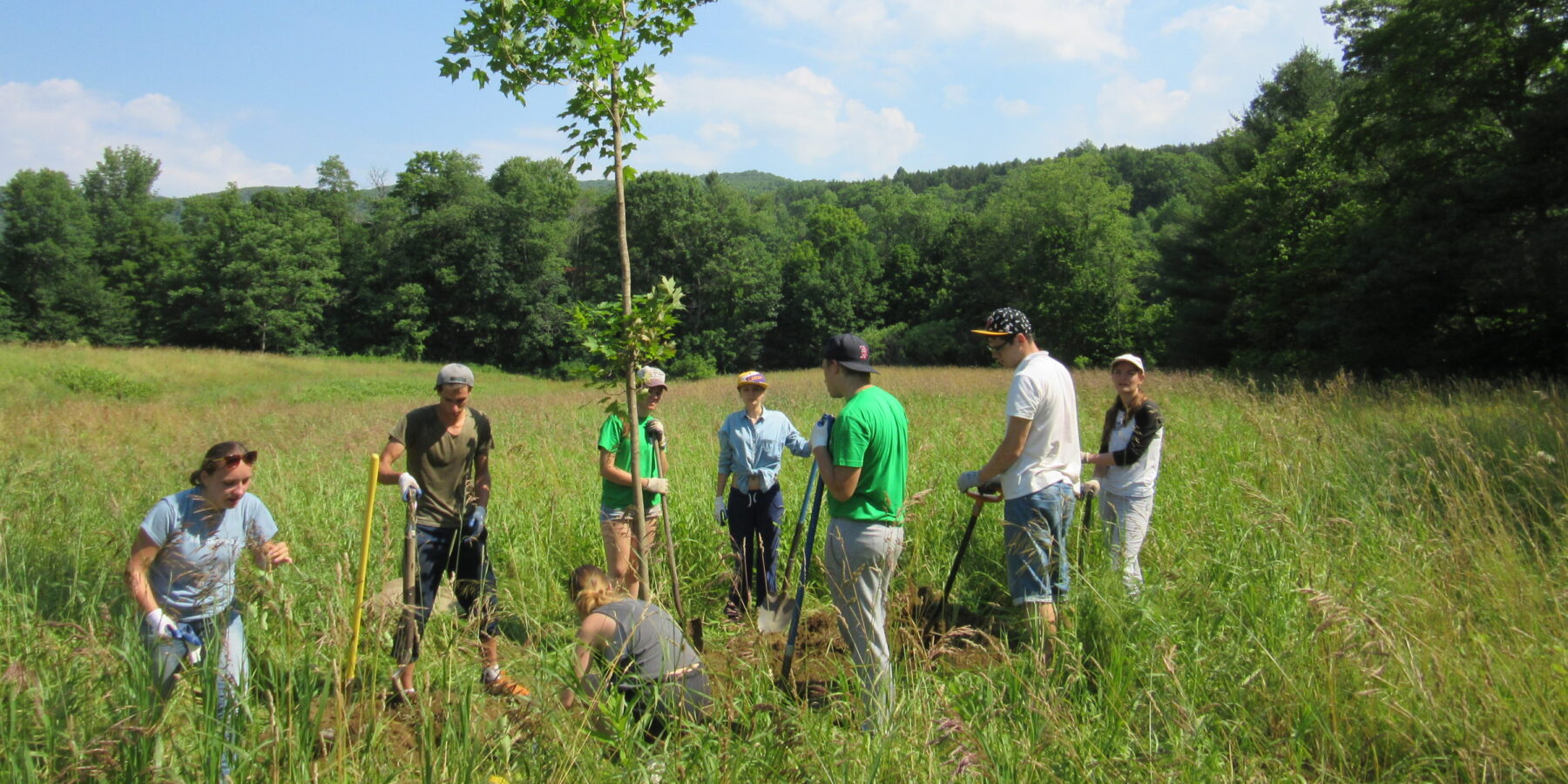 Volunteers plant a tree by the river.