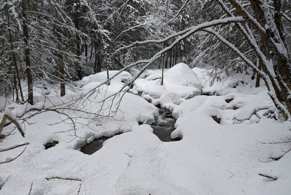 Stream in the Camel's Hump State Park expansion covered in snow.