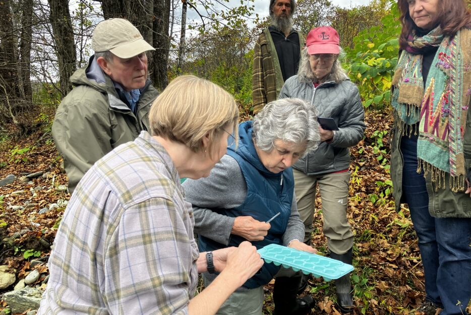 A group of people observe macroinvertebrates with ecologist