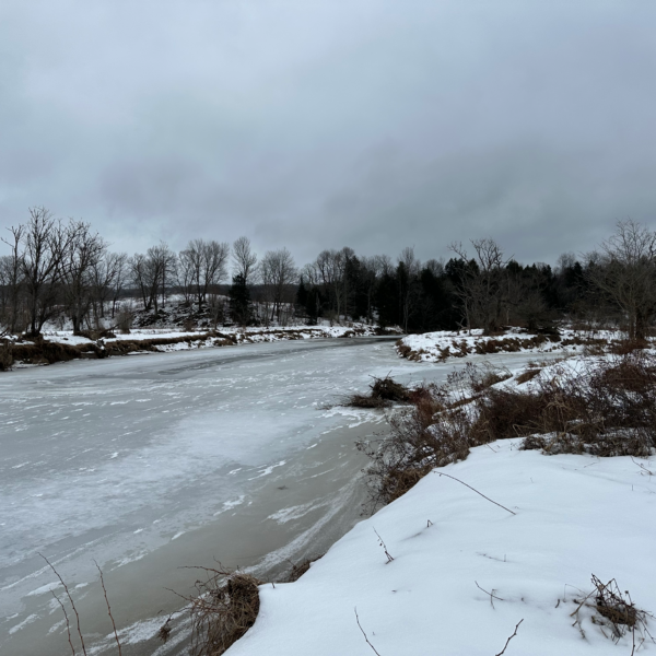Have you ever noticed the ethereal mist that forms on our rivers in the winter? Read this blog post to learn why this happens. 
