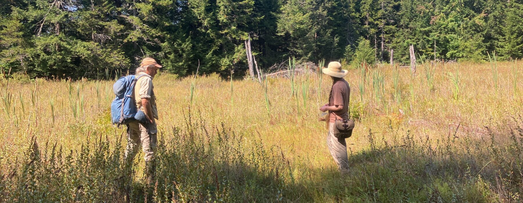 Two people explore a wetland at Old Oaks Preserve