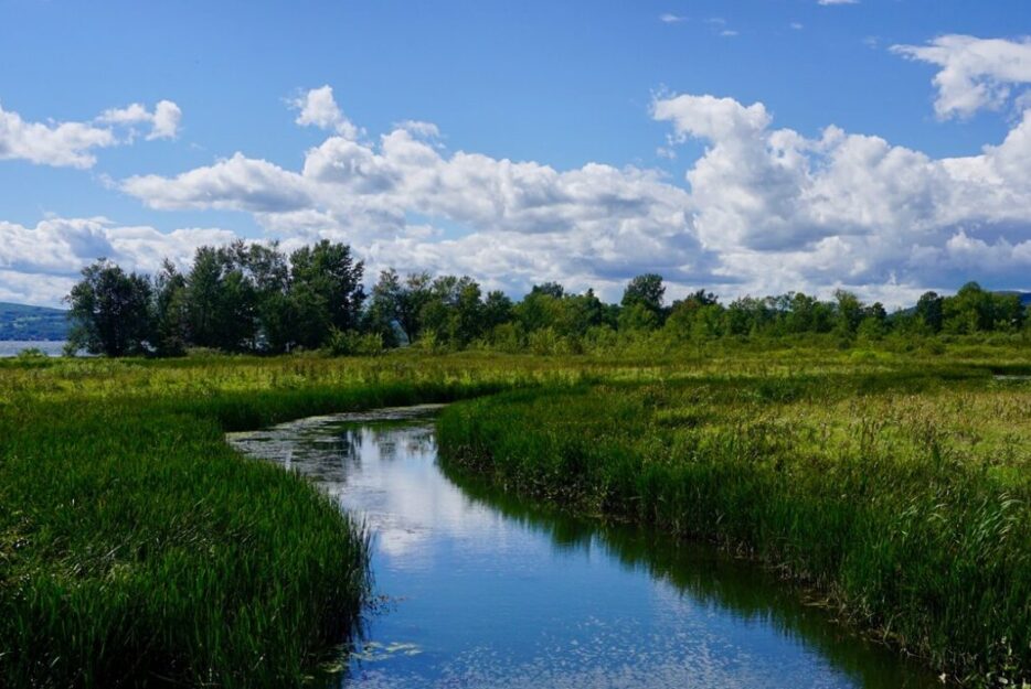 Johns River near Memphremagog. Photo by Zack Porter.