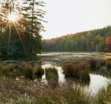 Sun shines over wetlands at Woodbury Mountain Preserve