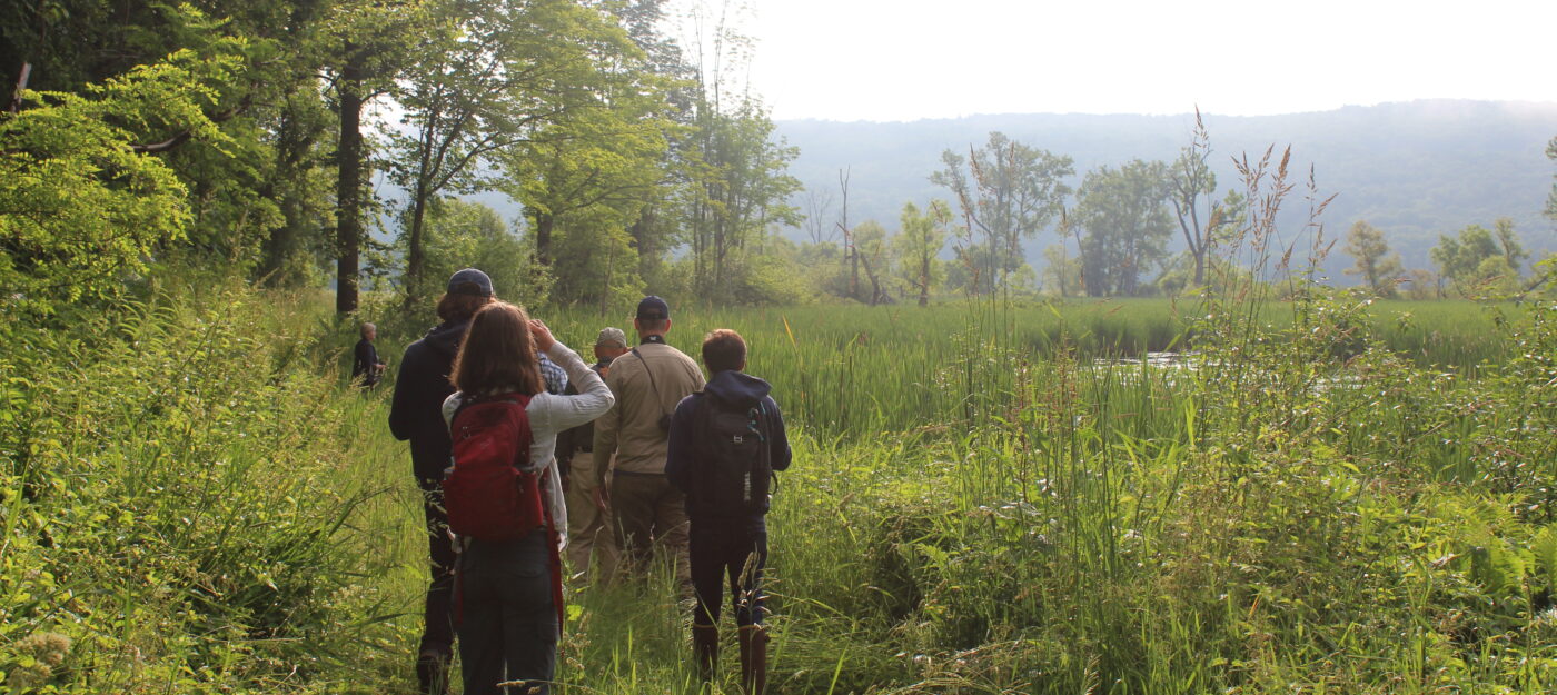 Birding walk with Southern Vermont Conservation Manager Hayley Kolding.