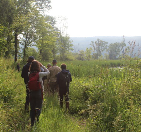 Birding walk with volunteers led by Southern Vermont Conservation Manager.